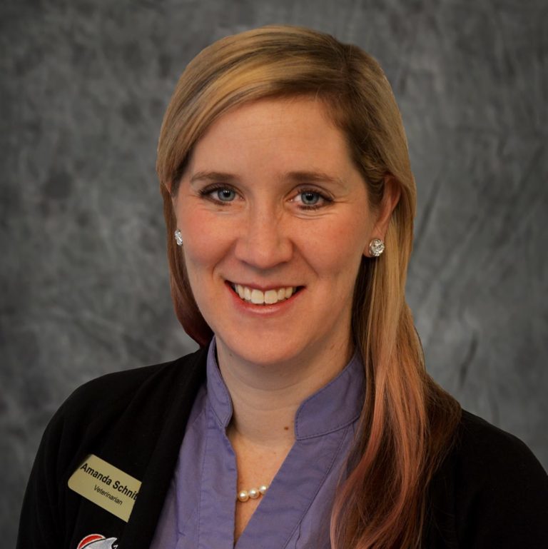 Dr amanda schnitker companion river north